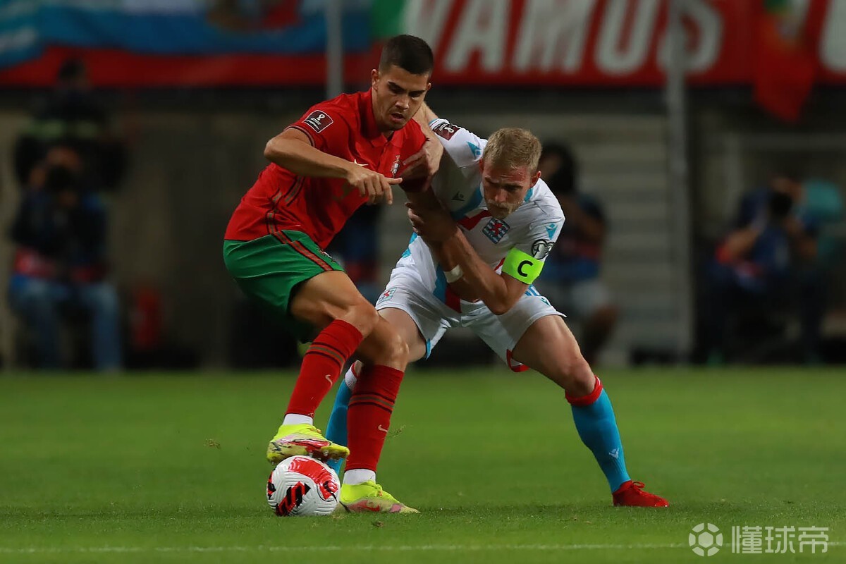 多伦多猛龙队夺冠